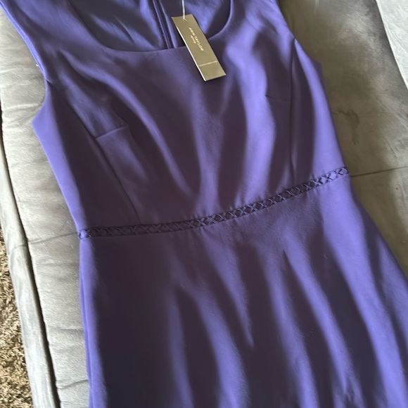Ann Taylor Dresses & Skirts - Ann Taylor Sz 2P Elegant Purple Sleeveless Dress